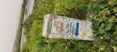 Enlarge photo 169