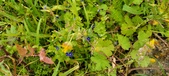 Enlarge photo 167