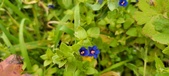 Enlarge photo 166