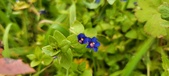 Enlarge photo 170
