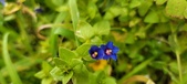 Enlarge photo 171