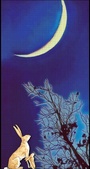 Enlarge photo 52