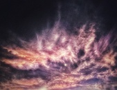 Enlarge photo 53