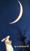 Enlarge photo 46