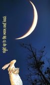 Enlarge photo 45
