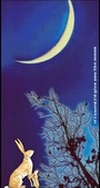 Enlarge photo 50
