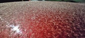 Enlarge photo 38