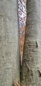 Enlarge photo 53