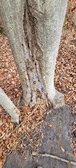 Enlarge photo 50