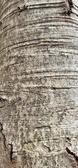 Enlarge photo 56