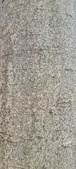 Enlarge photo 55