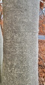 Enlarge photo 54