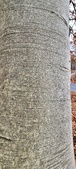 Enlarge photo 51