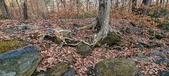 Enlarge photo 60