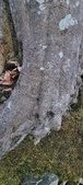 Enlarge photo 61