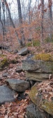 Enlarge photo 111
