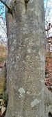 Enlarge photo 65