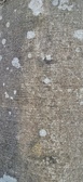 Enlarge photo 66