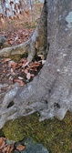Enlarge photo 68