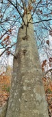 Enlarge photo 69
