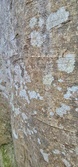 Enlarge photo 87