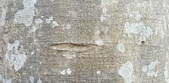 Enlarge photo 72