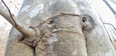 Enlarge photo 75