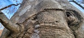 Enlarge photo 82