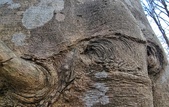 Enlarge photo 80