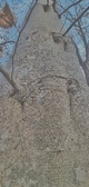 Enlarge photo 77
