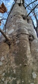 Enlarge photo 84