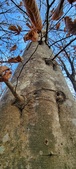 Enlarge photo 85