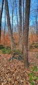 Enlarge photo 78