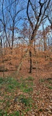 Enlarge photo 94