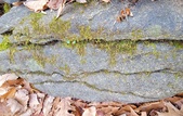 Enlarge photo 93