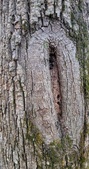 Enlarge photo 89