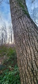 Enlarge photo 91