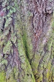 Enlarge photo 90
