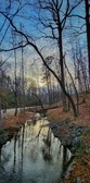 Enlarge photo 110