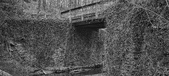 Enlarge photo 105