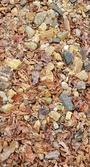 Enlarge photo 109