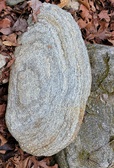 Enlarge photo 98