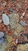Enlarge photo 97