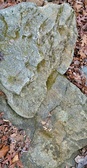 Enlarge photo 96