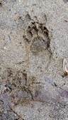 Enlarge photo 95