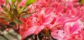 Enlarge photo 53