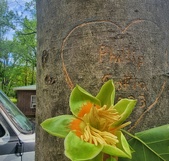 Enlarge photo 5