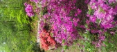 Enlarge photo 50