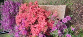 Enlarge photo 48