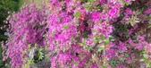 Enlarge photo 47